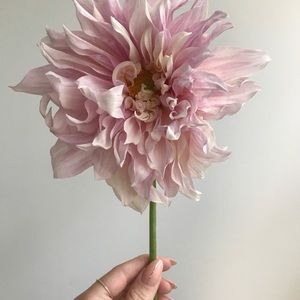 Meet your Posher, Chimere Shop